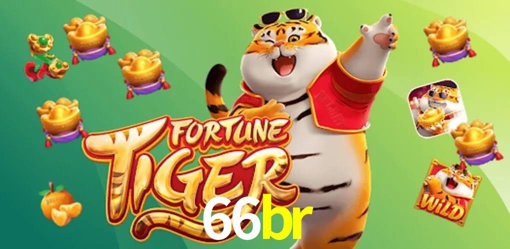 Security Systems 66br